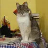 Отзыв от Наиля Щербакова